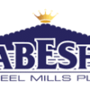 Habesha Steel Mills PLC
