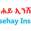 Tsehay Insurance S.C. Vacancy 2026: Auditor Job Opportunity